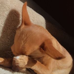 Meet your Posher, Chiara